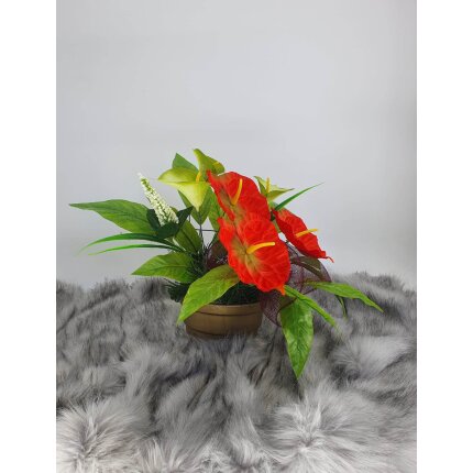 344584281_554388363552015_7577446343942024726_n