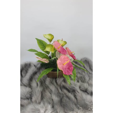 344585265_666187115260672_367635864703643699_n