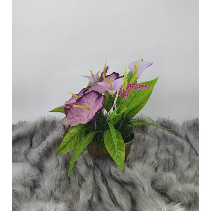 344585279_638796984355536_8025971143198438271_n