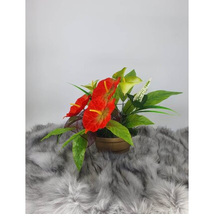 344587675_1225960018114311_8742132303365708526_n