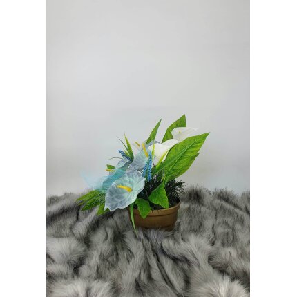 344587683_6213810488702836_1808282055719377413_n