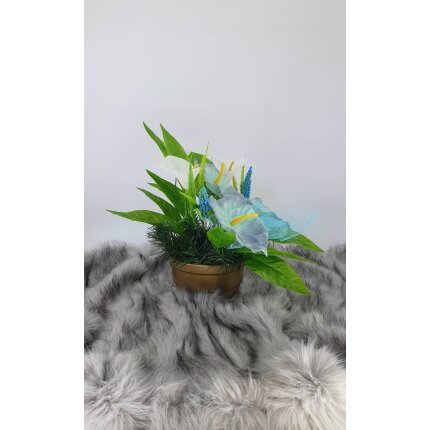 344680199_591707089774206_9114209658696838563_n