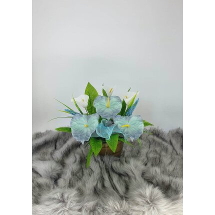 344795899_1056484179096683_7543789510361596176_n