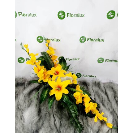 344799545_267273119134822_4015347505115722938_n