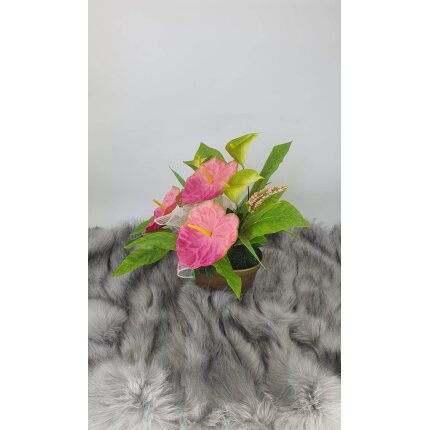 344988356_922015785743417_2877061518851544382_n