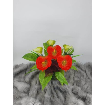 345008705_801671044851693_1699880574177981088_n