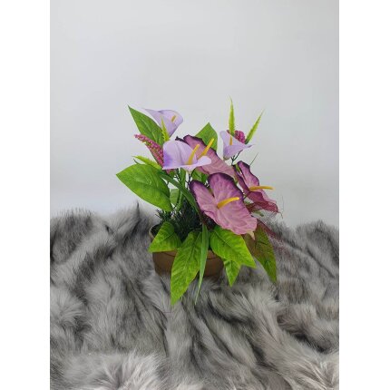 345016258_612162517529148_7086227803877385212_n