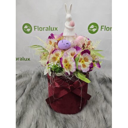 IMG_20240130_103903 IMG_20240130_103903