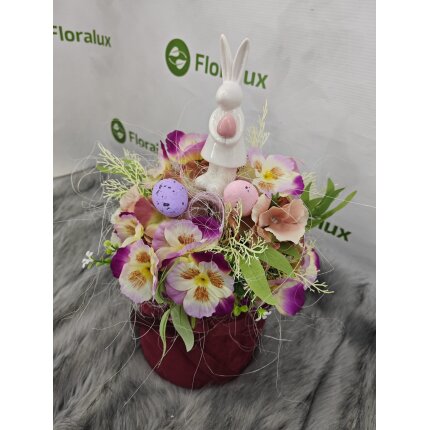 IMG_20240130_103909 IMG_20240130_103909