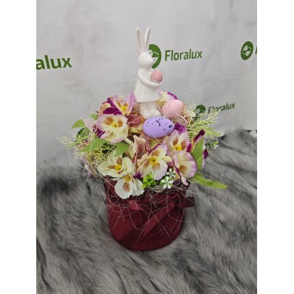 IMG_20240130_103913 IMG_20240130_103913