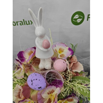 IMG_20240130_103916 IMG_20240130_103916