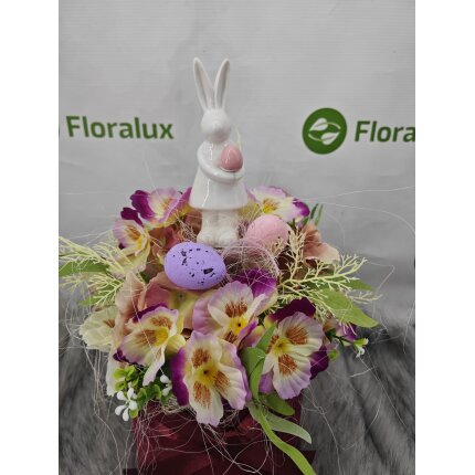 IMG_20240130_103919 IMG_20240130_103919