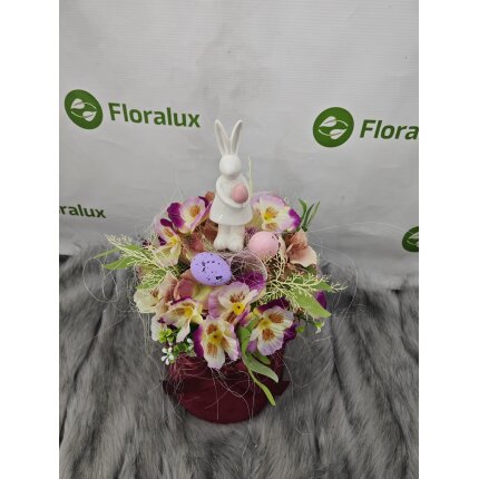 IMG_20240130_103921 IMG_20240130_103921