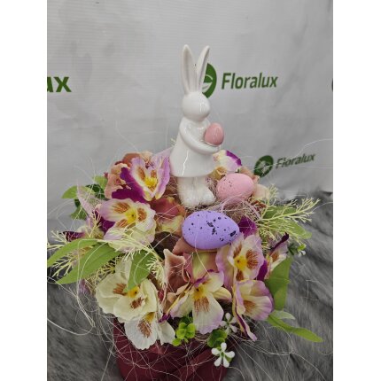 IMG_20240130_103931 IMG_20240130_103931