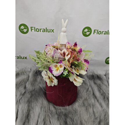 IMG_20240130_135001 IMG_20240130_135001