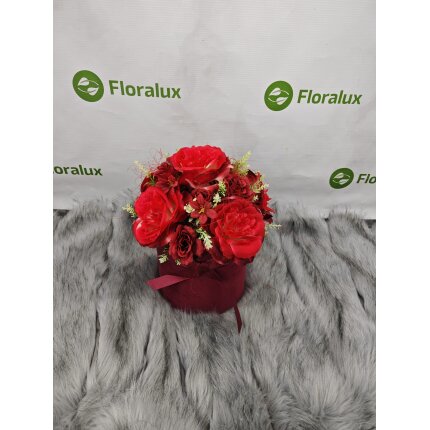 IMG_20240130_135209 IMG_20240130_135209