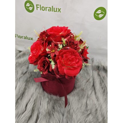 IMG_20240130_135211 IMG_20240130_135211