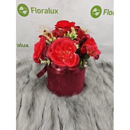 IMG_20240130_135238 IMG_20240130_135238