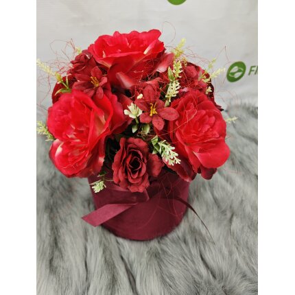 IMG_20240130_135251 IMG_20240130_135251