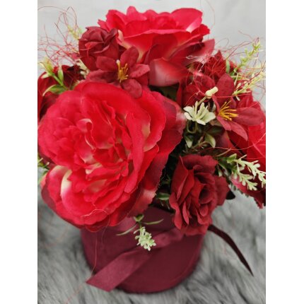 IMG_20240130_135255 IMG_20240130_135255