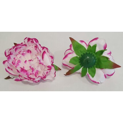 20230126_110954 20230126_110954