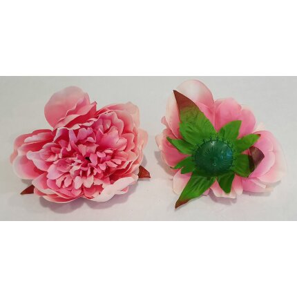 20230126_111227 20230126_111227