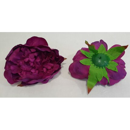 20230126_111351 20230126_111351