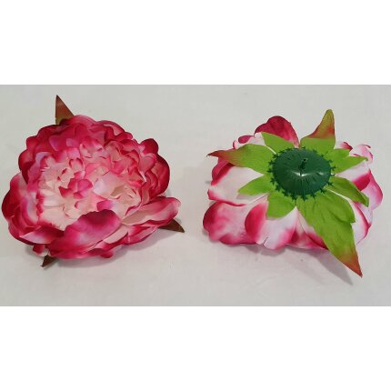 20230126_111437 20230126_111437