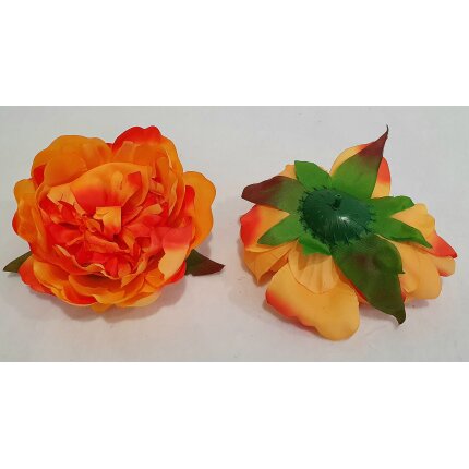 20230126_111851 20230126_111851