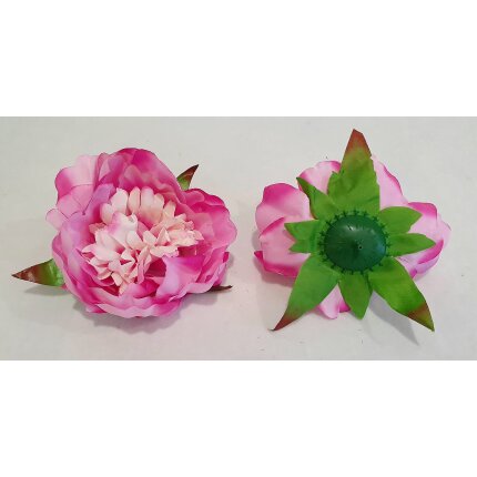 20230126_112602 20230126_112602