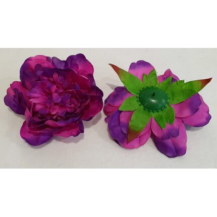 20230126_112904 20230126_112904