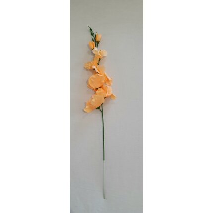 20230130_135954 20230130_135954