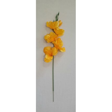 20230130_140210 20230130_140210