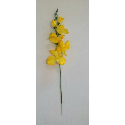 20230130_140359 20230130_140359