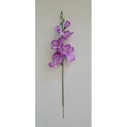 20230130_140458 20230130_140458