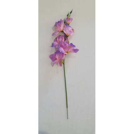 20230130_140557 20230130_140557