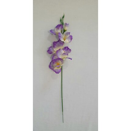 20230130_140649 20230130_140649