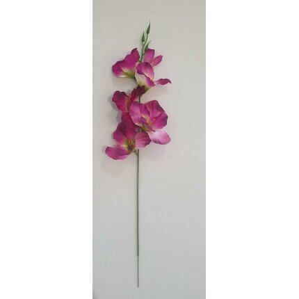 20230130_141206 20230130_141206