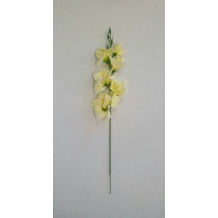 20230130_141312 20230130_141312