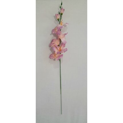 20230130_142000 20230130_142000