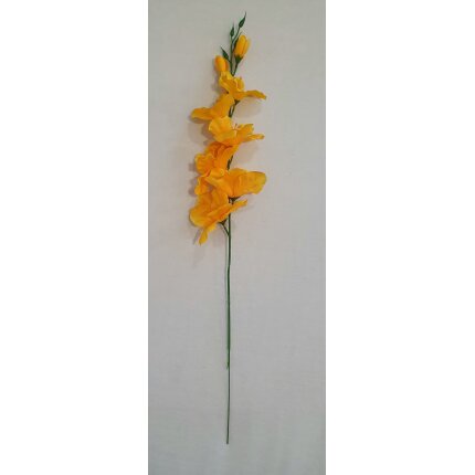 20230130_142109 20230130_142109