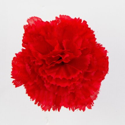 W110-07-01 W110-07-01