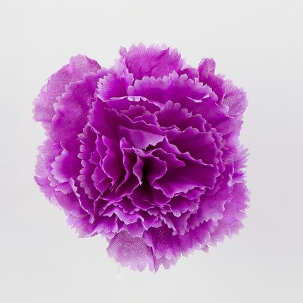 W110-08-01 W110-08-01