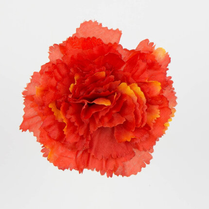 W110-11-01 W110-11-01