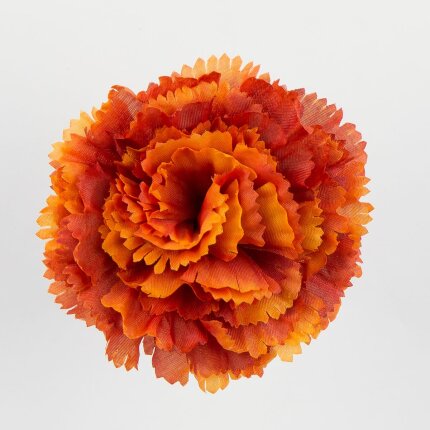 W110-12-01 W110-12-01