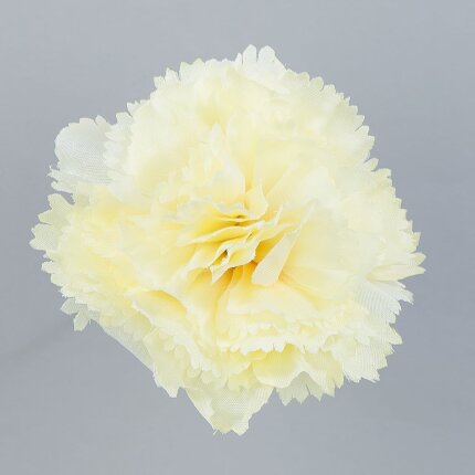 W110-16-01 W110-16-01