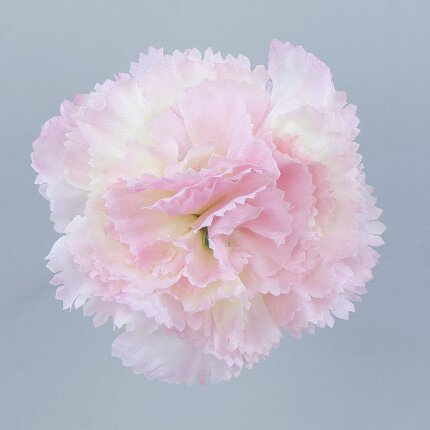 W110-17-01 W110-17-01