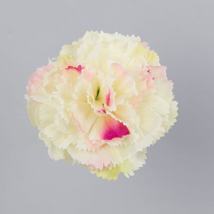 W110-35-01 W110-35-01