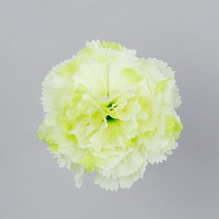 W110-36-01 W110-36-01