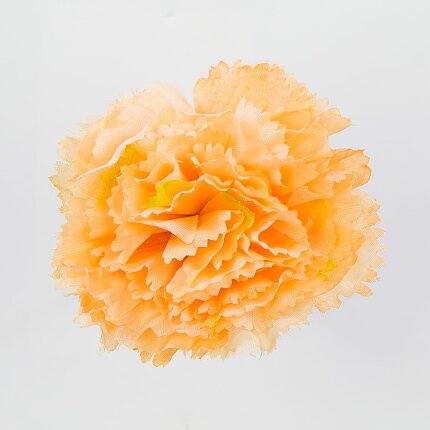 W110-80-01 W110-80-01